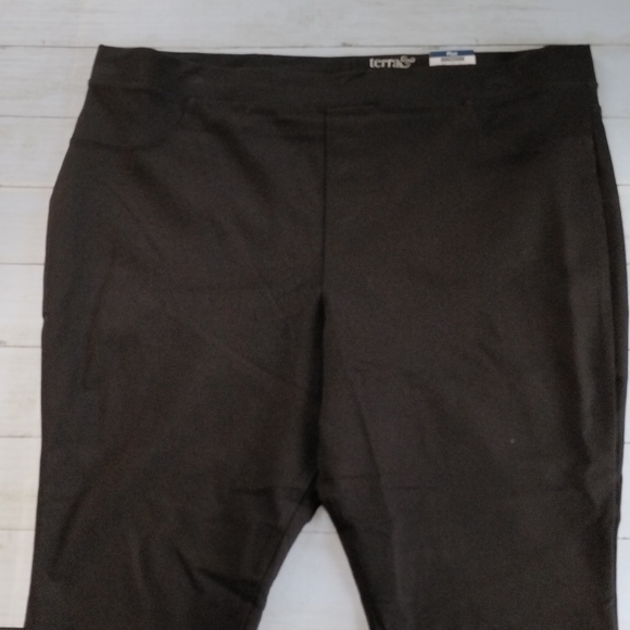 Women's Terra & Sky Skinny Dress Pants - Picture 3 of 8